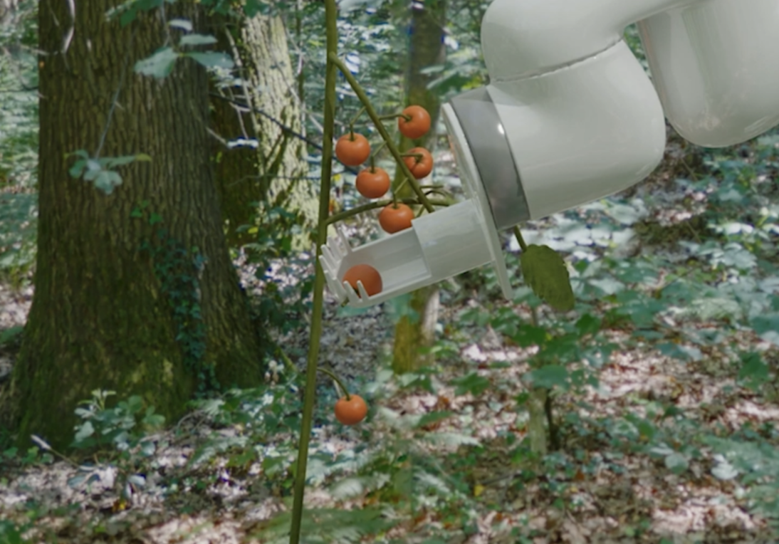 Gazebo Plants: Simulating Plant-Robot Interaction with Cosserat Rods