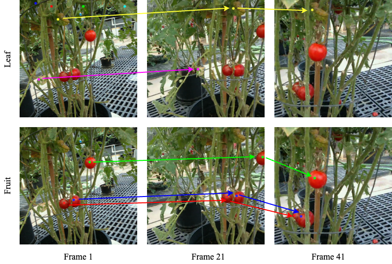 PlantTrack: Task-Driven Plant Keypoint Tracking with Zero-Shot Sim2Real Transfer