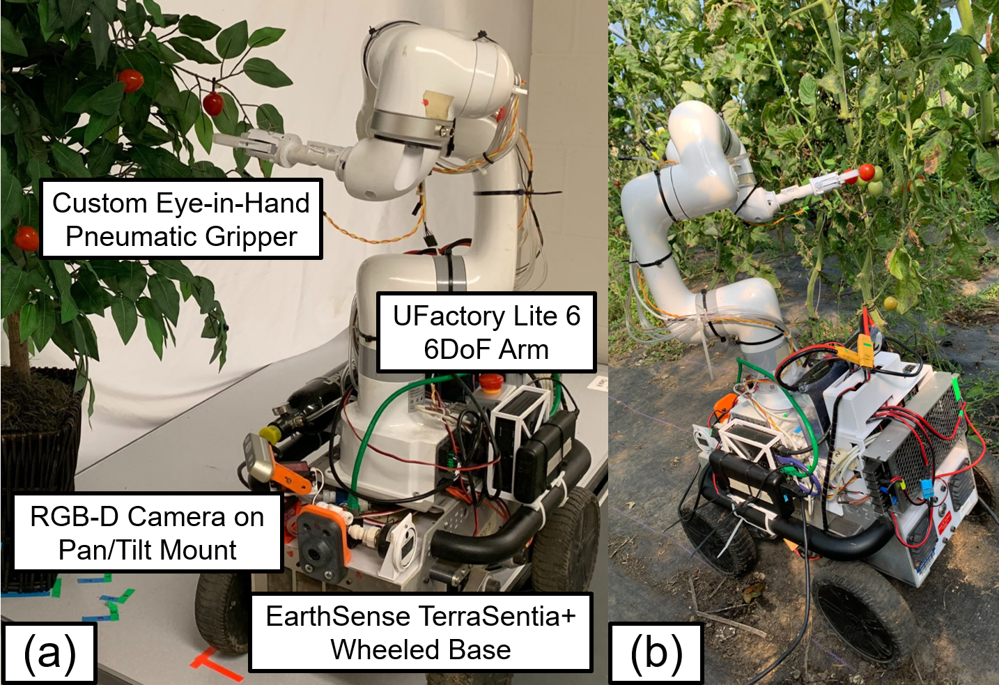 Precision Harvesting in Cluttered Environments: Integrating End Effector Design with Dual Camera Perception